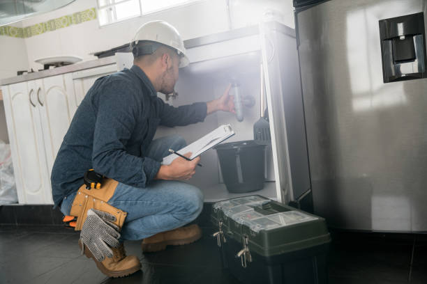 Best Sewer Line Repair  in Wyanet, IL